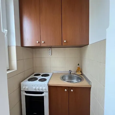 Διαμέρισμα Jevrosima Βελιγράδι